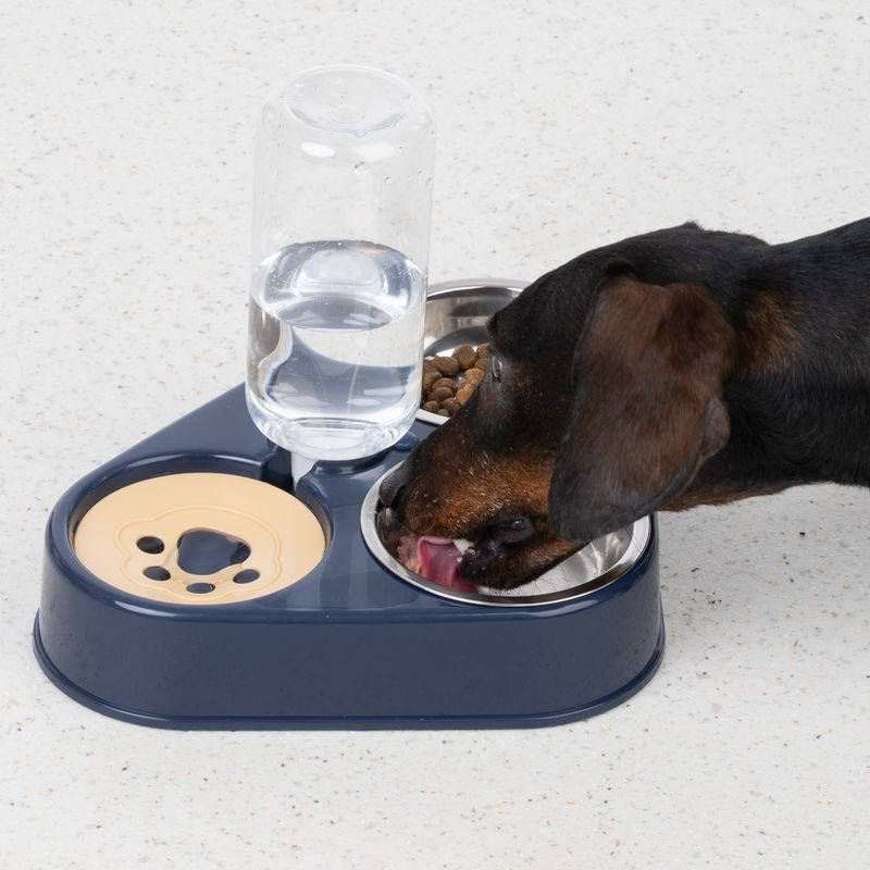 Feeding station with water dispenser, bowl for dry food and bowl for wet food. Dog eating from the wet food bowl.