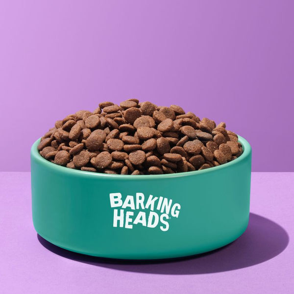Barking Heads All Hounder Fat Dog Slim Chicken || barking heads || view 7