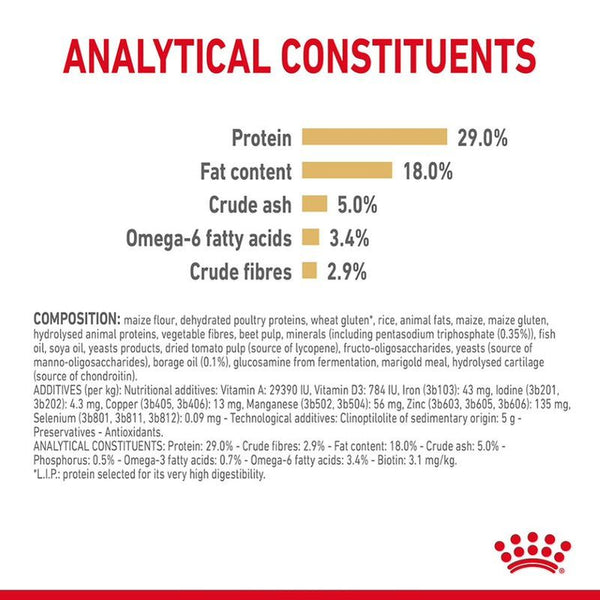 Royal Canin Yorkshire Terrier Adult 8+ || Royal Canin Breed || view 6