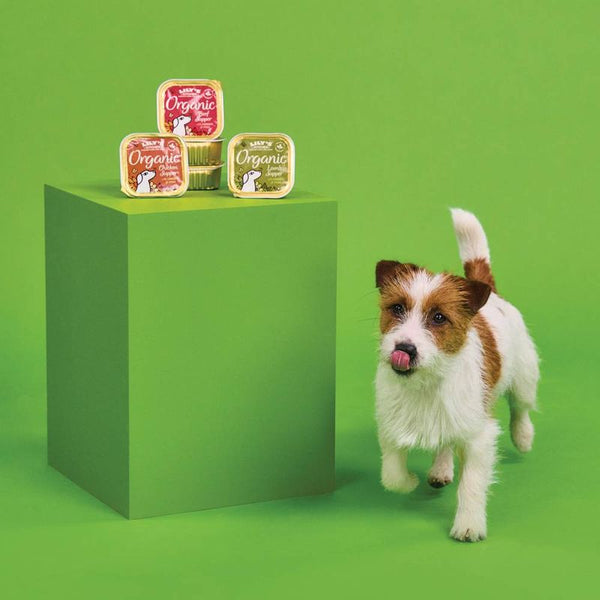 Lily's Kitchen Organic Chicken Supper || Lily's Kitchen || view 5