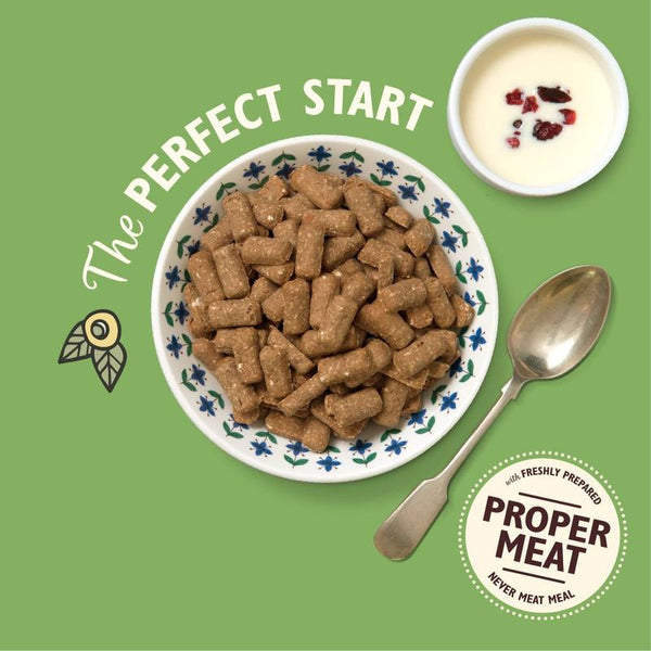 Lily's Kitchen Adult Dry Dog Food - Breakfast Crunch || Lily's Kitchen || view 2