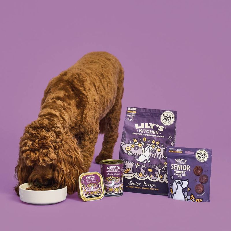 Lily's Kitchen Senior Dry Dog Food - Turkey & Trout || Lily's Kitchen || view 4