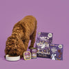 Lily's Kitchen Senior Dry Dog Food - Turkey & Trout || Lily's Kitchen || view 4