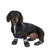 Sports & Protective Dog Boots || zooplus Exclusive || view 1