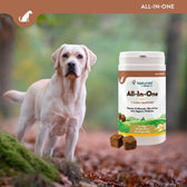 NaturVet All-In-One 4-in-1 support for dogs. Contains vitamins, minerals, skin and coat care, joint support and prebiotics. Pack of 120 soft chews, net weight 480g.