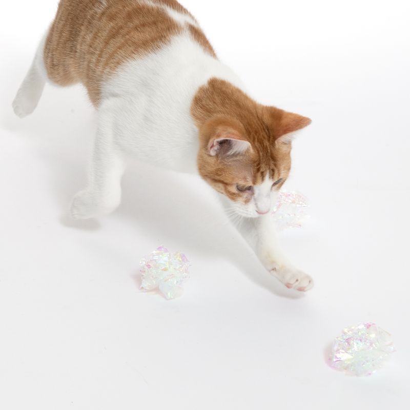 Red and white cat playing with transparent, glittery play balls on white background.