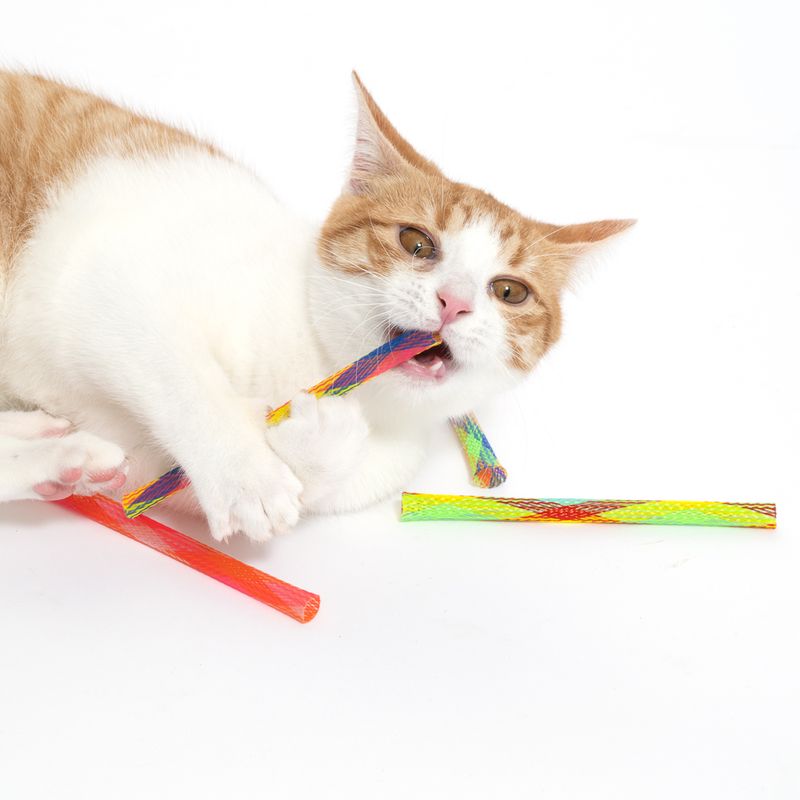 Red and white cat playing with colourful mesh toys, holding one in its mouth. Three more mesh toys lying next to it.