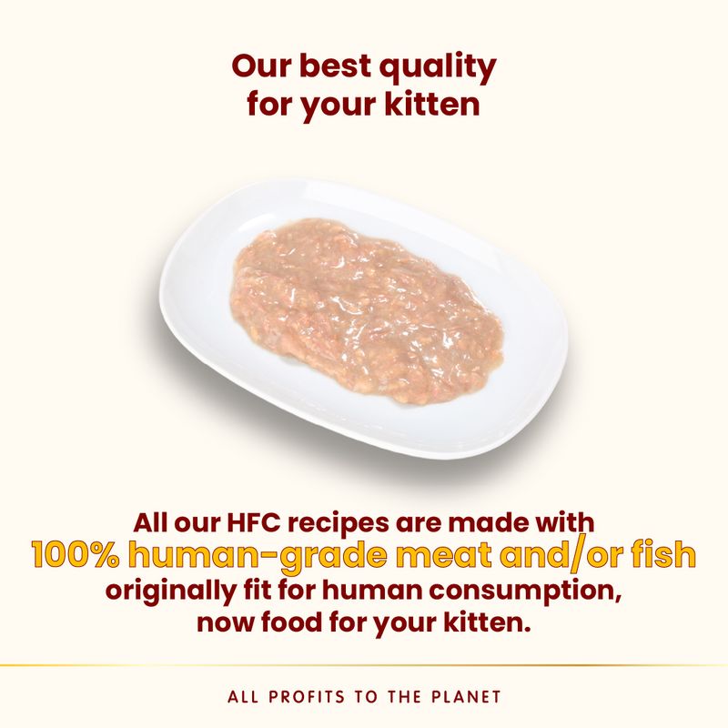 Almo Nature Kitten HFC Complete 6 x 70g