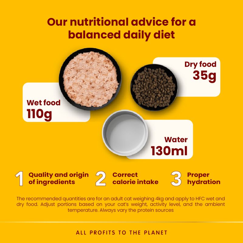 Daily feeding guide: wet food 110g, dry food 35g, water 130ml. Advice includes quality ingredients, correct calorie intake, and proper hydration for a balanced diet.