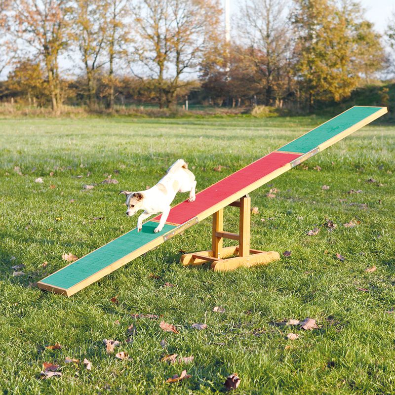 Trixie Dog Activity Agility Seesaw || Trixie || view 2