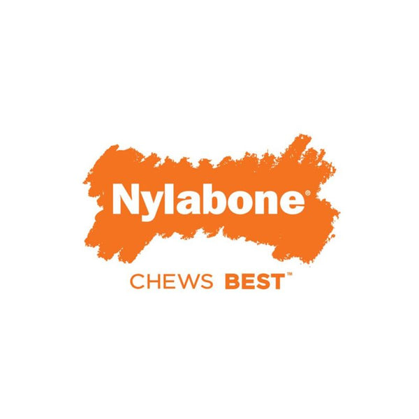 Nylabone PuppyBone || Nylabone || view 5