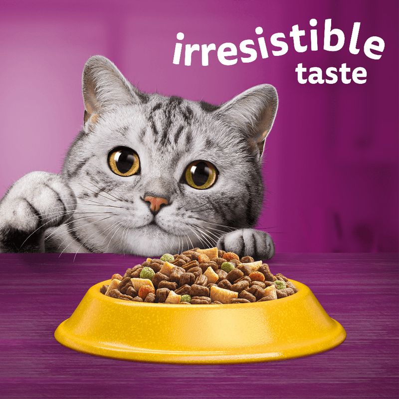 Whiskas 1+ Chicken || undefined || view 10