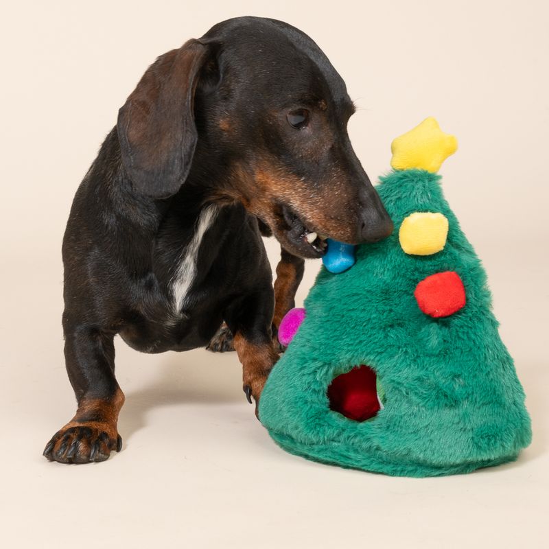 TIAKI Hide & Seek Gift Tree