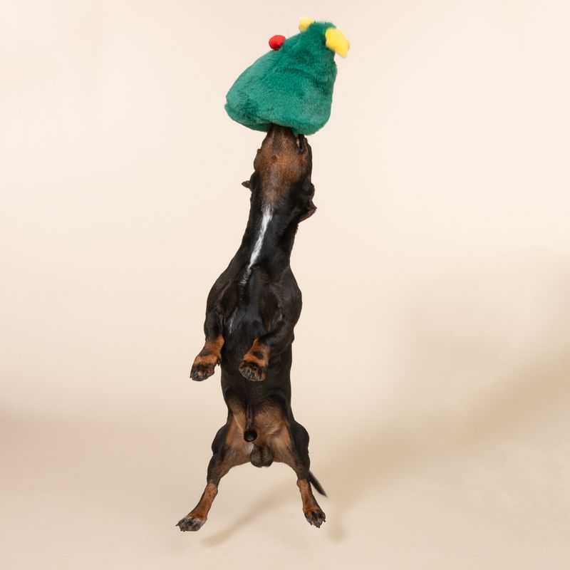 TIAKI Hide & Seek Gift Tree