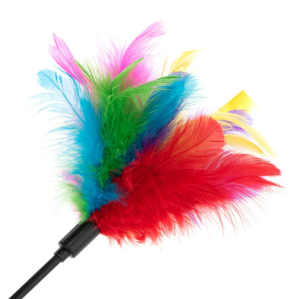 Feather Waggler Cat Toy || undefined || view 4