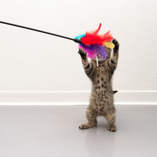 Feather Waggler Cat Toy || undefined || view 3