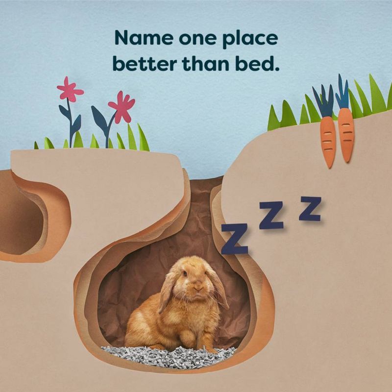 Back-2-Nature Small Animal Bedding || undefined || view 6