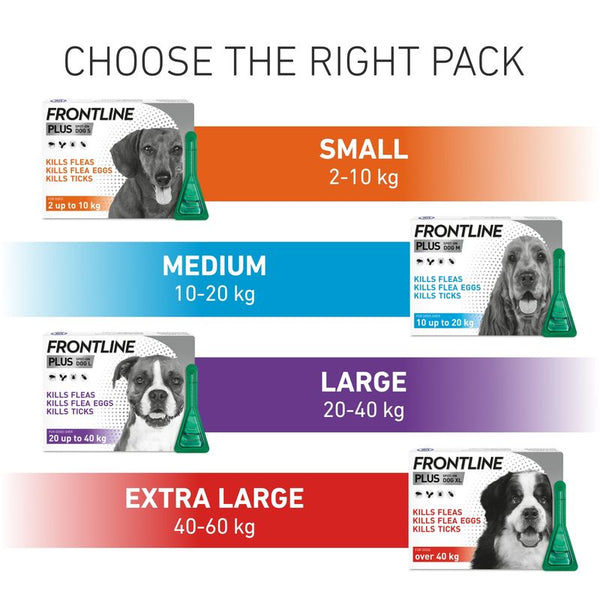 FRONTLINE® Plus Spot On for Dogs - L (20-40kg) || Frontline || view 6