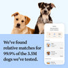 Wisdom Panel™ Breed Discovery Dog DNA Test || Wisdom Panel || view 7