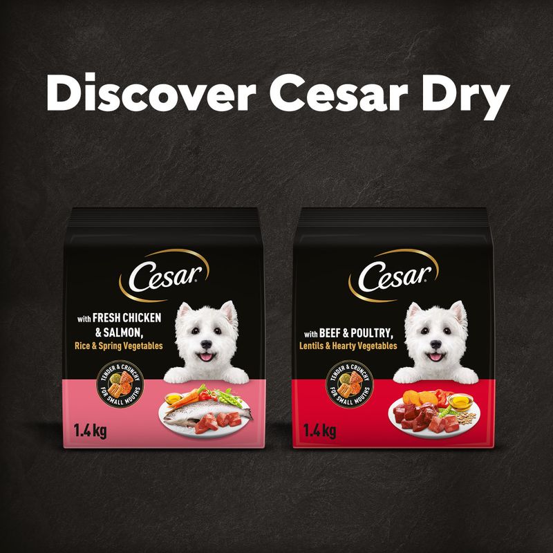 Cesar Adult with Beef, Poultry & Vegetables