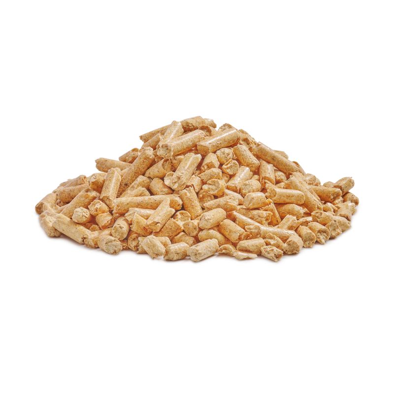 Sanicat Recycled Wood Cat Litter