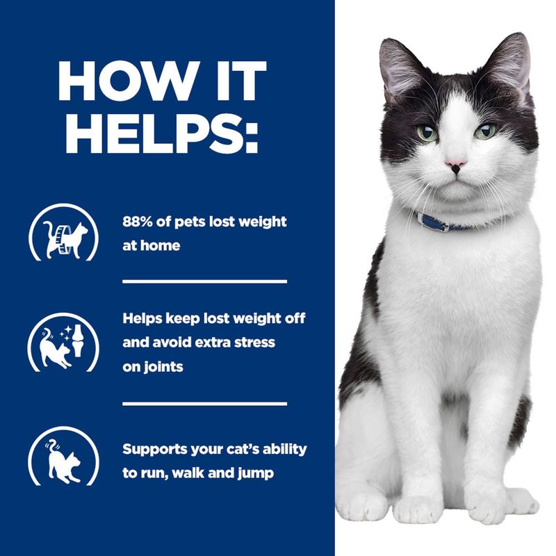 How it helps: 88% of pets lost weight at home, helps maintain weight and avoid joint strain, supports running, walking and jumping in cats.