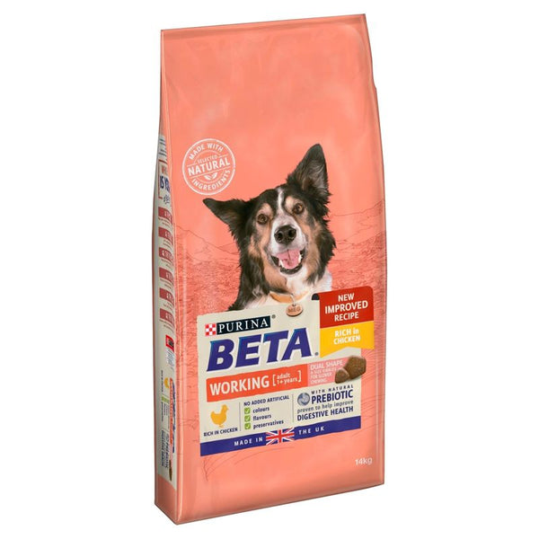 BETA Adult Working Dog || Beta || view 2
