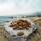 Pile of brown food pieces on stone, below, measurement 14–16 mm.