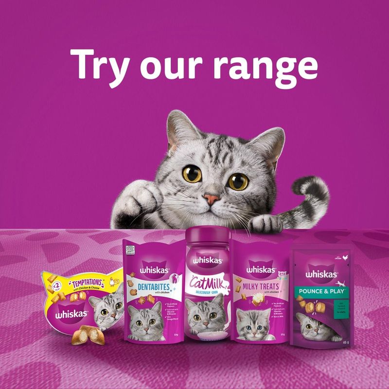 Various Whiskas cat products: Temptations, Dentabites, CatMilk, Milky Treats and Pounce & Play against a purple background with a cat. Text: Try our range.