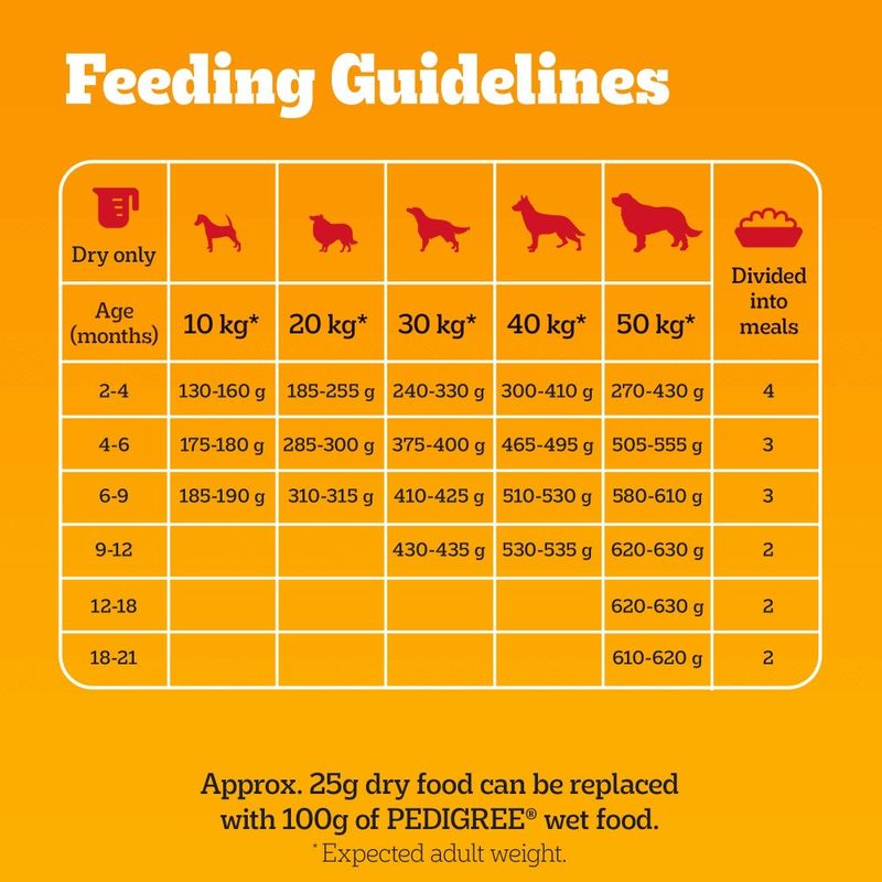 PEDIGREE® COMPLETE™ Puppy Beef & Vegetables