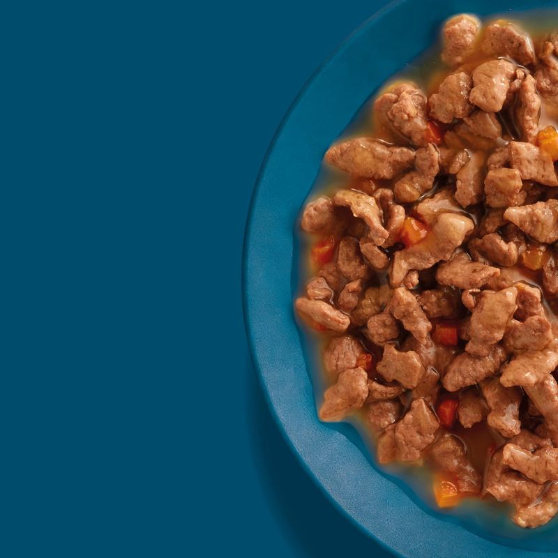 Close-up of wet food in gravy with pieces of meat and small vegetable chunks in a blue bowl.