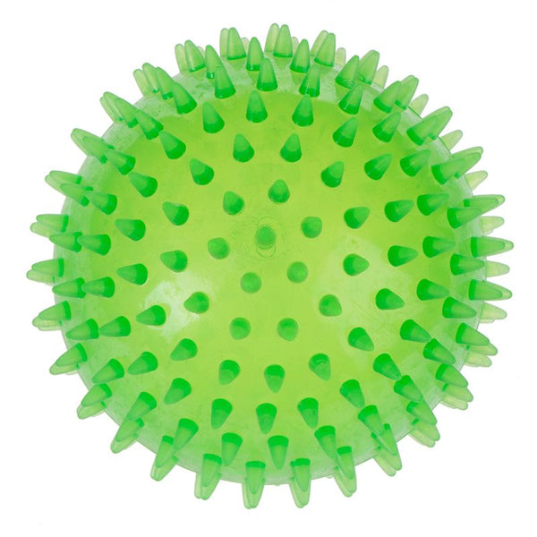 Large Spiky Ball Dog Toy || zooplus Exclusive || view 1