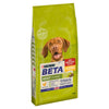 BETA Adult Chicken || Beta || view 2