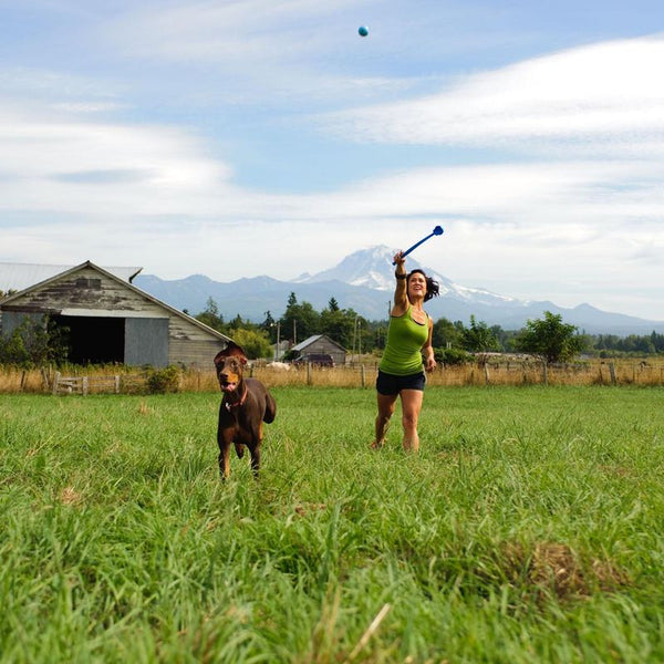 Chuckit! Ball Launcher Sport || Chuckit! || view 2
