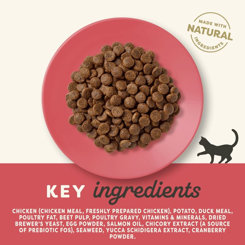 Applaws Cat Food Economy Packs || Applaws || view 9