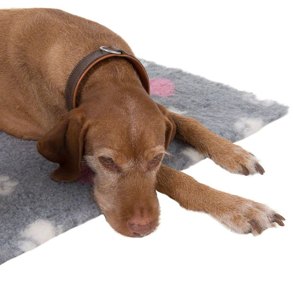 Vetbed® Isobed SL grey with hearts and paws || Vetbed || view 11