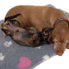 Vetbed® Isobed SL grey with hearts and paws || Vetbed || view 12
