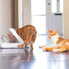 SureFeed Microchip Pet Feeder || SureFeed || view 12
