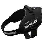 Black Julius-K9 IDC power harness with reflective stripes and sturdy fastener. Visible brand name: Julius-K9.