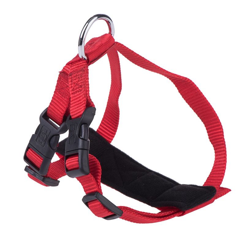 Red harness with adjustable nylon straps, black padding and two click fasteners. Metal ring for attachment visible.