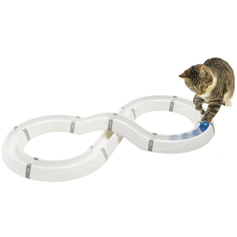 Figure-eight shaped toy track with movable ball, cat interacting with the ball on the track.