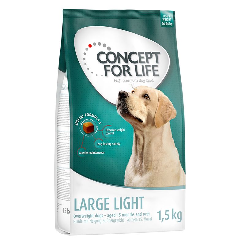 Concept for Life Large Light || Concept for Life || view 3