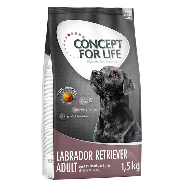 Concept for Life Labrador Retriever Adult || Concept for Life || view 2