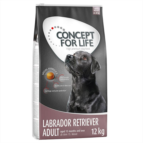 Concept for Life Labrador Retriever Adult || Concept for Life || view 3