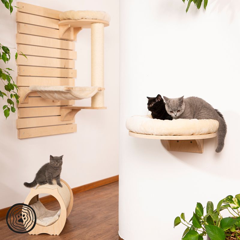 Wall-mounted scratching post set made of wood with resting surfaces and hammock. Two cats on a padded platform, one cat on a play arch. Plants in the background.