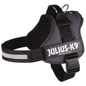 JULIUS-K9® Power Harness - Anthracite || Julius-K9 || view 1