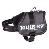 JULIUS-K9® Power Harness - Anthracite || Julius-K9 || view 3