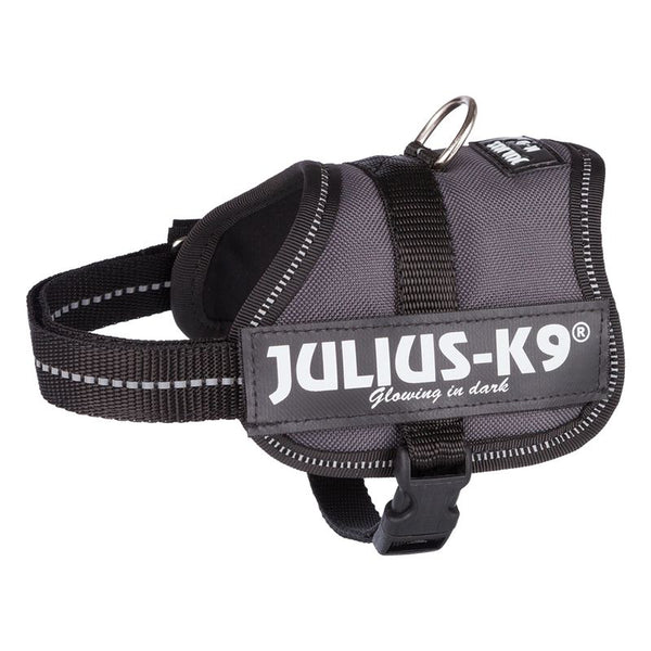 JULIUS-K9® Power Harness - Anthracite || Julius-K9 || view 3