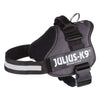 JULIUS-K9® Power Harness - Anthracite || Julius-K9 || view 7