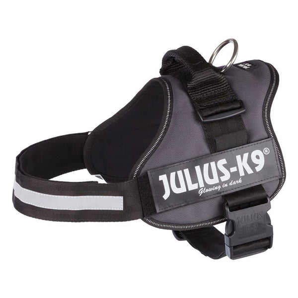 JULIUS-K9® Power Harness - Anthracite || Julius-K9 || view 7